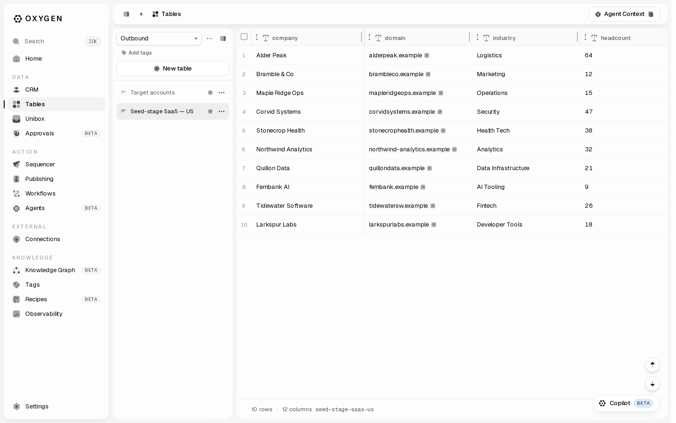 A workspace table grid with typed columns